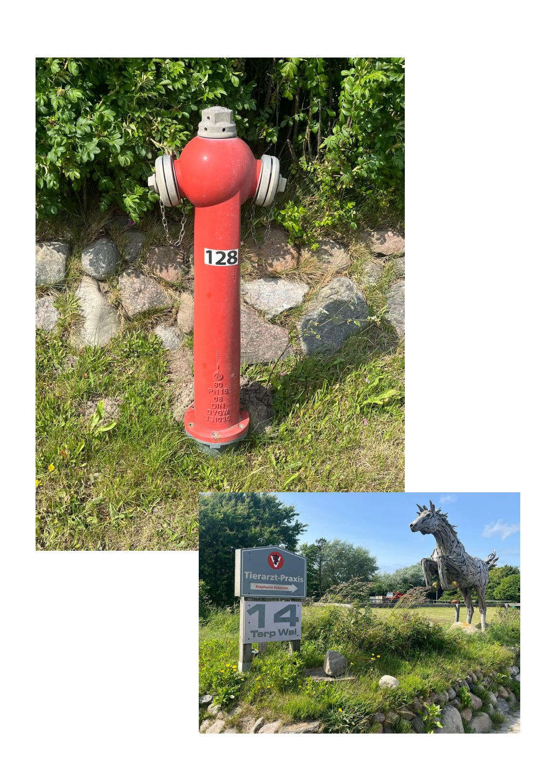 Talking Hydrants Visualisierung